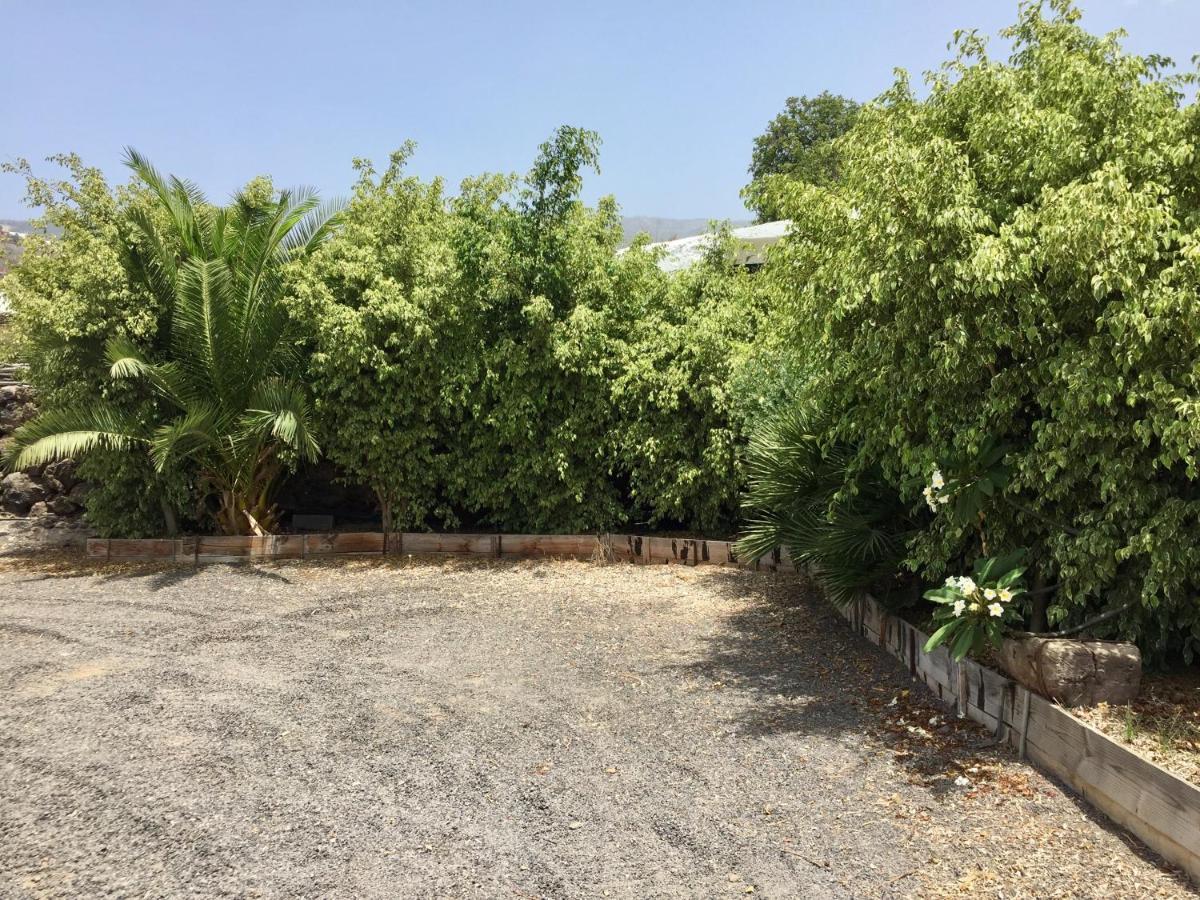 Finca Los Llanitos Guía de Isora Exterior foto
